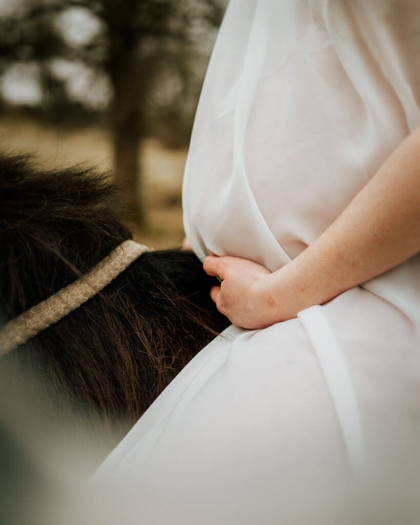 Gravidfotografering med häst i västra götaland